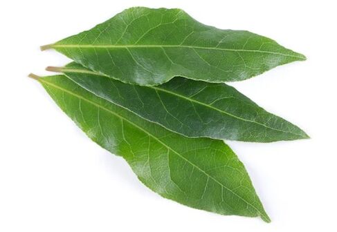 NEOflorax enthält Lorbeerblatt